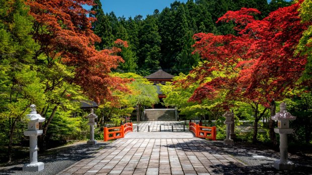 Colourful serene nature at Mount Koya, Japan.