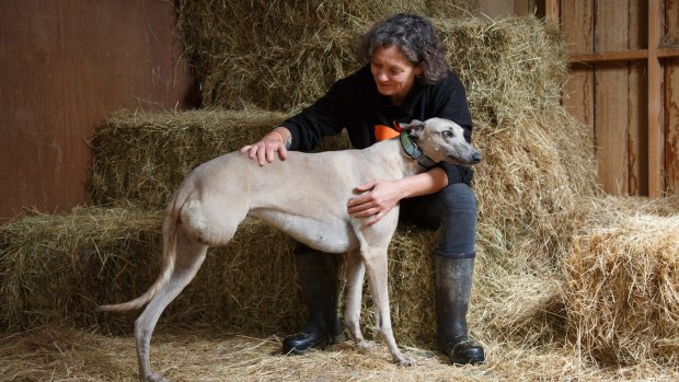 Emma Haswell, with Jenny, one of her rescued greyhounds.