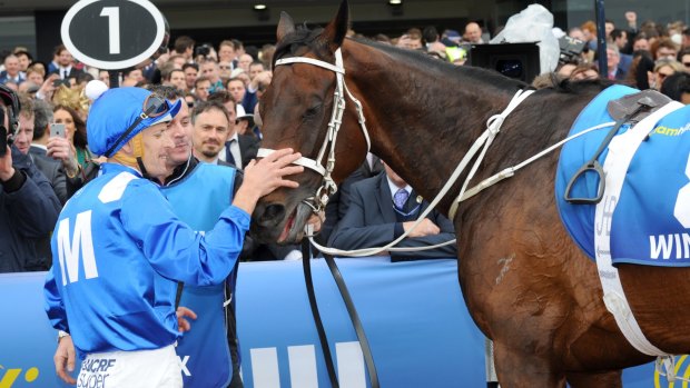 Ready to go: Champion mare Winx is set to return in the Apollo Stakes at Randwick on February 11.