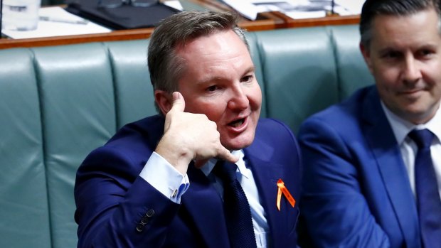 But shadow treasurer Chris Bowen says Labor will look at changes to budget accounting.
