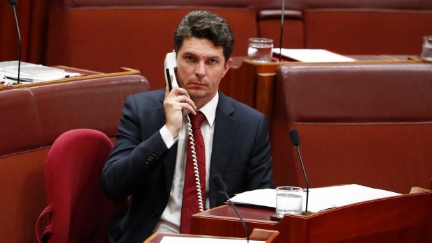 Scott Ludlam