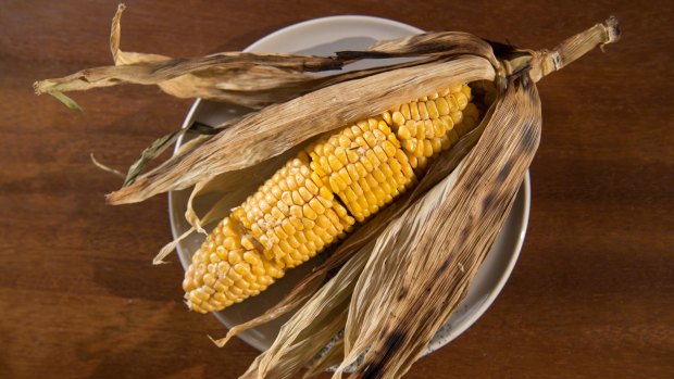 Buttered corn on the cob served in its husk.