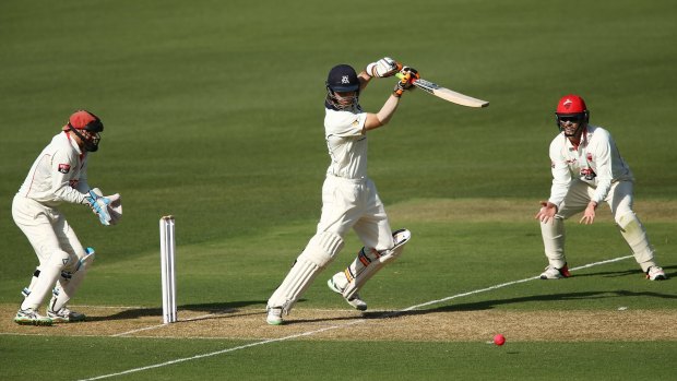 Fine knock:  Glenn Maxwell bats during day one of the Sheffield Shield match between South Australia and Victoria at the Adelaide Oval.
