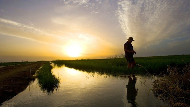 Renewable energy makes commercial sense for farming, says NAB.