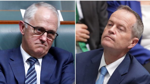 The letter warns Australia's reputation on human rights is deteriorating under the "failure" of both Malcolm Turnbull's government and Bill Shorten's opposition.