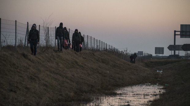 Migrants make their way along a ditch near the border with Hungary, outside Subotica, Serbia, earlier this year.