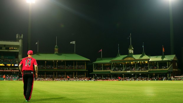 Picture perfect: Conditions were perfect at the SCG.