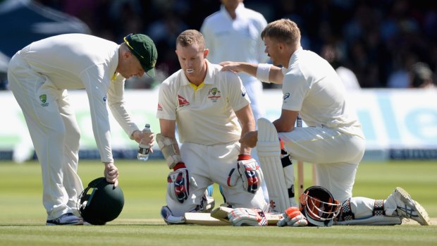 Concern: Brad Haddin and Dave Warner help Chris Rogers after he suffered a dizzy spell on day four of the second Test.