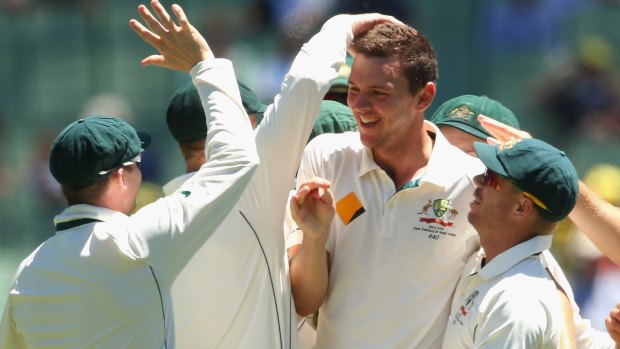 Chance to shine: Josh Hazlewood could be one of Australia's key players in New Zealand.