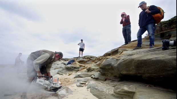 Mike Cleeland cuts through rock to free a dinosaur bone.