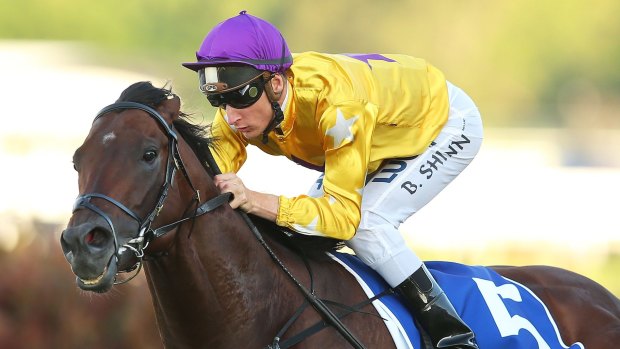 Top hope: Pornichet returns in the George Main Stakes at Randwick on Saturday