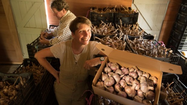 Light bulb moment: Fledgling garlic farmer Kirsten Jones (with husband David Jones) dreamed up the Meeniyan Garlic Festival, to be held on February 18.