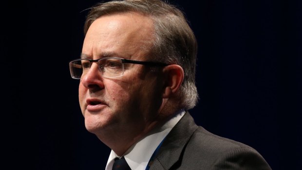 Anthony Albanese addressed the ALP National Conference in Melbourne on Friday.