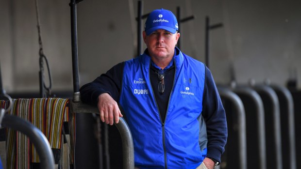 John O'Shea has been allocated boxes at Randwick to resume his career as a public trainer.