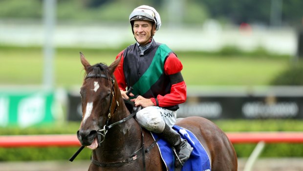Autumn flyer: Blake Shinn returns on English after winning the  Challenge Stakes earlier this month.
