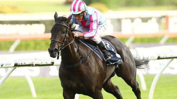 Under-performance questioned: Azkadellia, here ridden by Damien Oliver to victory in The Coolmore Legacy Stakes at Randwick, was a losing favourite in the Stradbroke at Eagle Farm.