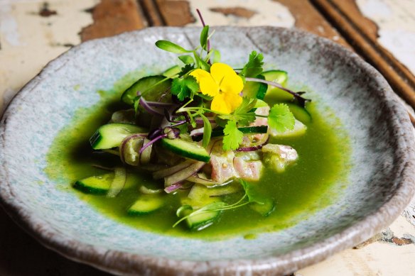 Bold, bright cuisine: The fresh, sharp market fish aguachile.