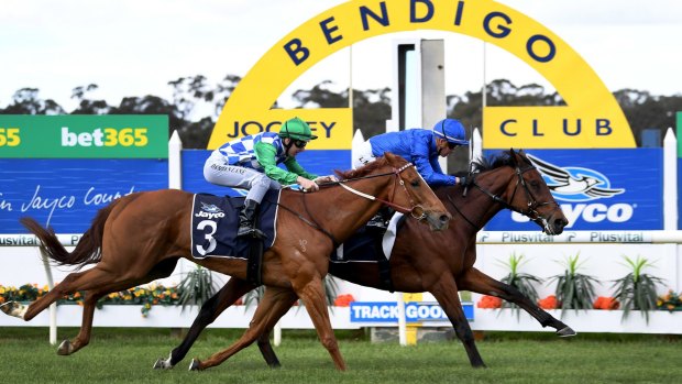 Decision time: Qewy won the Bendigo Cup on Wednesday which guaranteed him a start in the Melbourne Cup.