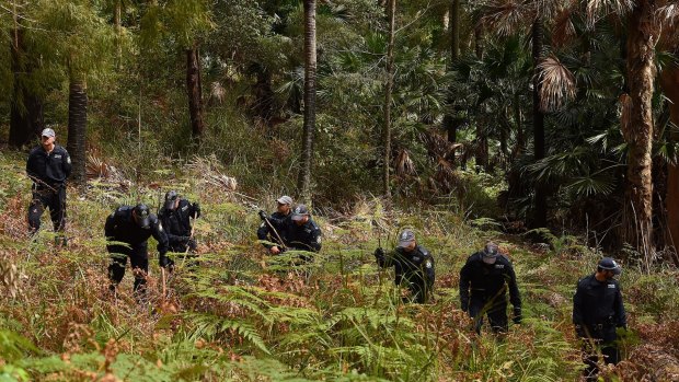 Police conduct a line search in the Royal National Park for the remains of Matthew Leveson.