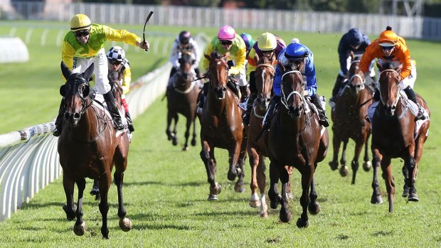 Staying strong: Tye Angland rides Gust Of Wind to victory in the Australian Oaks at Randwick during The Championships.