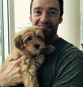 Jackman with new puppy Allegra.