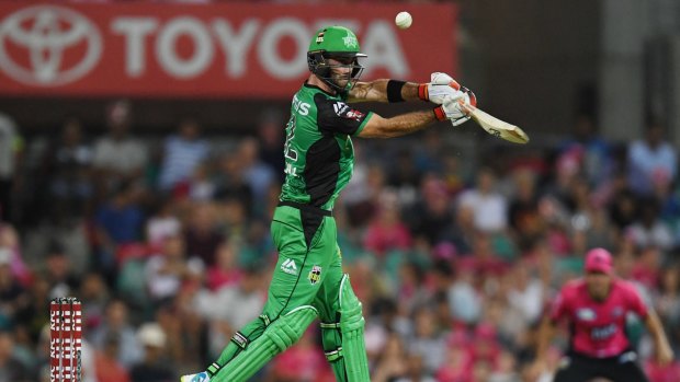 Belligerent: Glen Maxwell blasts a boundary in a knock of 84, his highest in the Big Bash.