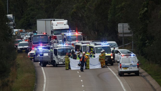 Emergency services at the scene of a fatal accident on the M1 Motorway at Cameron Park, between George Booth Drive and Link Road.