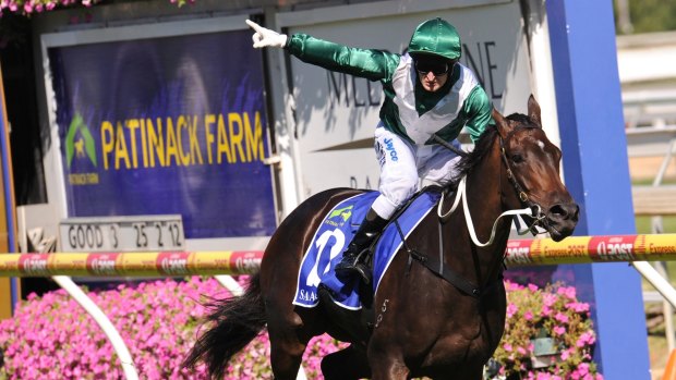 Mum's the word: Samaready wins the Blue Diamond Stakes during her impressive racing career. 