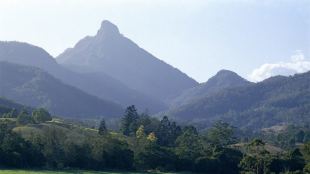 A group of campers were reportedly struck by lightning on the summit of Mount Warning on Tuesday morning.