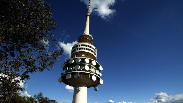 Take in the views from Telstra Tower. 