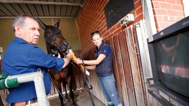 Equine veterinary surgeon Dr Glenn Robertson-Smith scopes the lungs of a racehorse at Cranbourne with the help of stablehand Michelle Jewell.