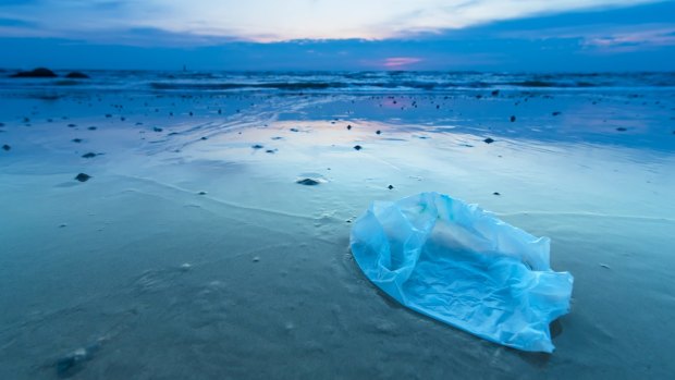 The single-use plastic bag is a key culprit in worldwide plastic pollution. There are plenty of light-weight, foldable alternatives.