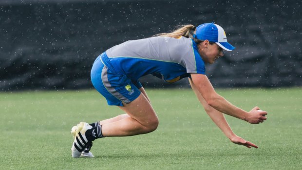 Ellyse Perry trains in the rain at Manuka Oval on Monday.