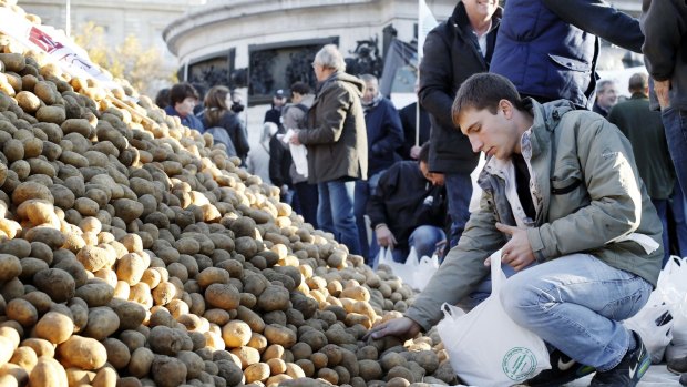 Helping himself: A man picks up potatoes from a pile dumped by farmers in Paris.
