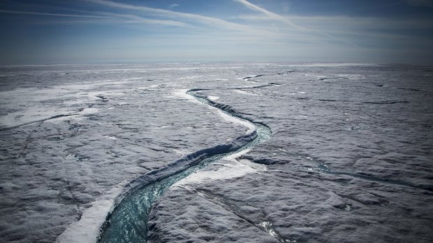 Meltwater flows along a glacial river on the Greenland ice sheet last July.