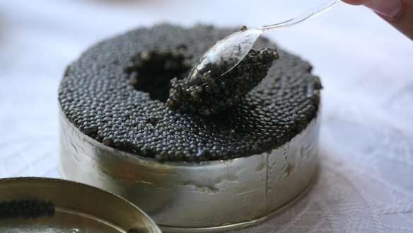 This is probably too much caviar for breakfast.