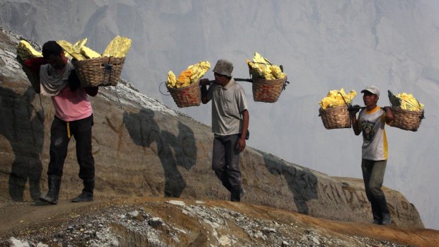 Miners carry baskets of sulphur in Indonesia. The country's protectionist policies ban the export of unprocessed minerals.
