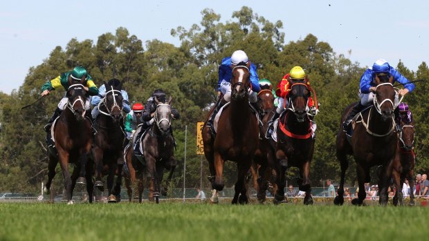 Turf war: Individual quirks of a track add variety to racing but punters were let down by the ground conditions on Chipping Norton Stakes day.