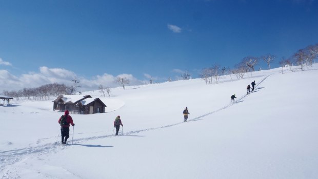 Hiking in Hokkaido's freezing temperatures.