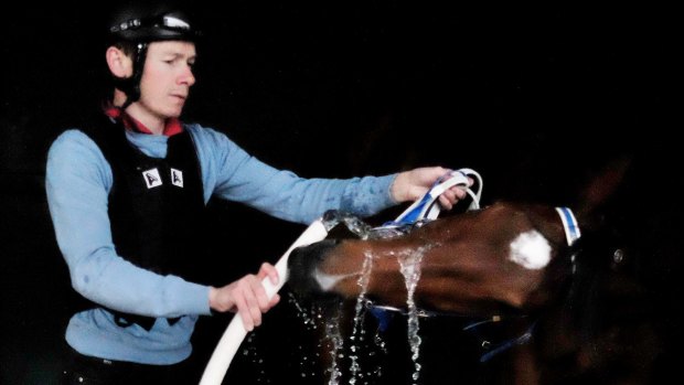 Jamie Spencer hoses down Crafty at Sandown on Tuesday.