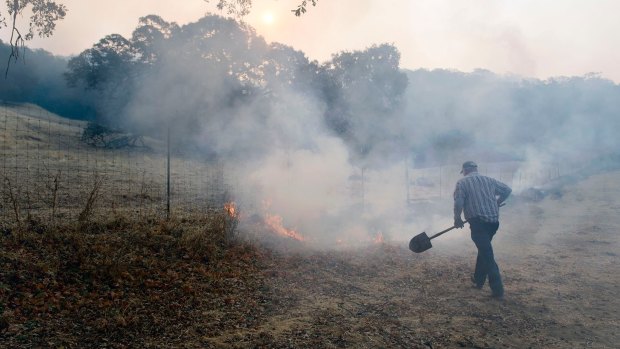Gilman Clark, a longtime resident of Wooden Valley, takes a shovel to burning grass along a fence line next to a vineyard on Wednesday.