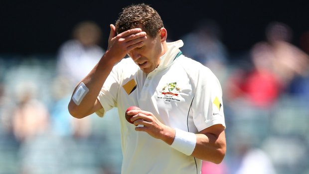 Paceman: Peter Siddle has been forced out of the second Test due to injury. 