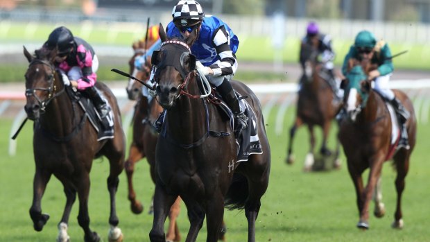 Derby candidate: Brenton Avdulla and Mongolian Wolf take out the Frank Packer Plate.