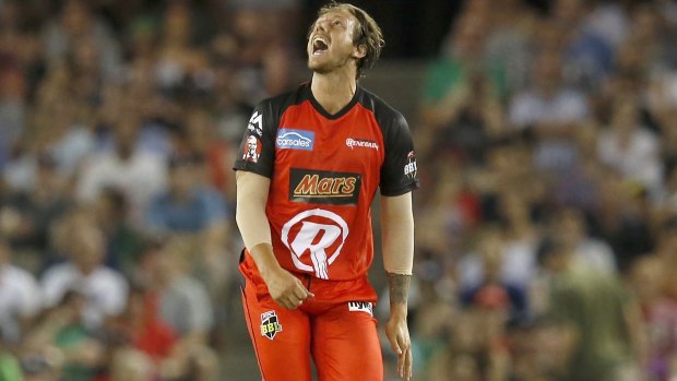 James Pattinson could be pleased with his return, but it was not the Renegades' night.