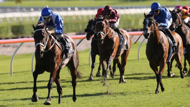 Too easy: Winx eases to the line to win the Apollo Stakes.
