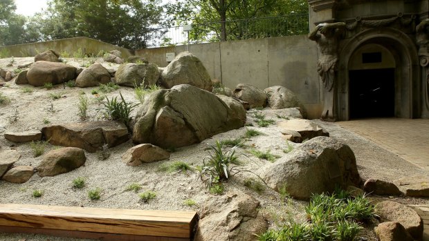 The Ellis Stones garden in Melbourne University.