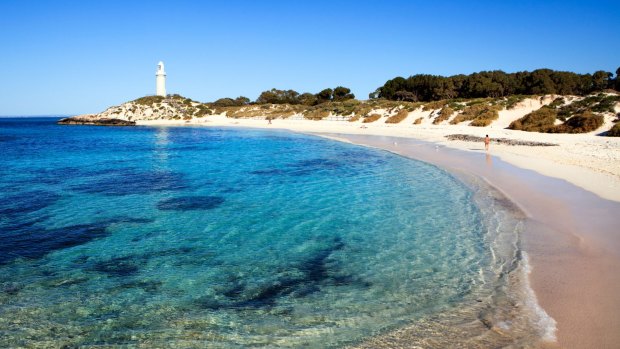 See Rottnest Island on a Ultimate Wonders of the West tour.