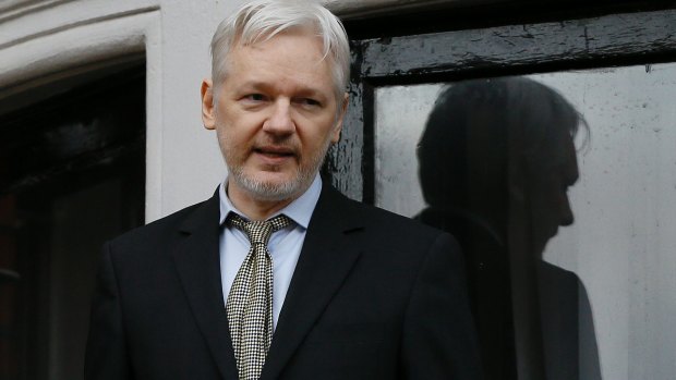 WikiLeaks founder Julian Assange has hinted he may run for UK Parliament.