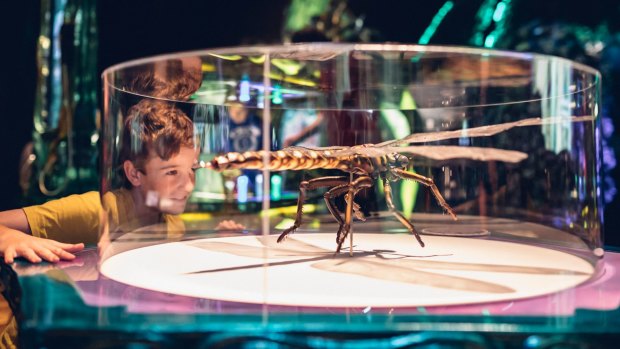 Bug Lab: Giant insects and spiders from Weta Workshop invade Melbourne Museum