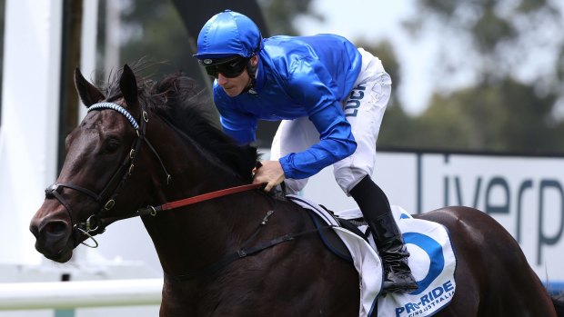 Class act: Exosphere made a strong return in a barrier trial at Warwick Farm on Monday.